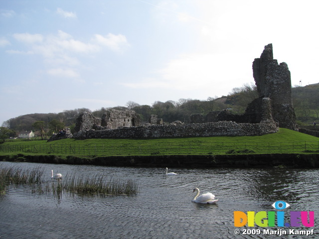 SX05343 Three swans by Ogmore Castle